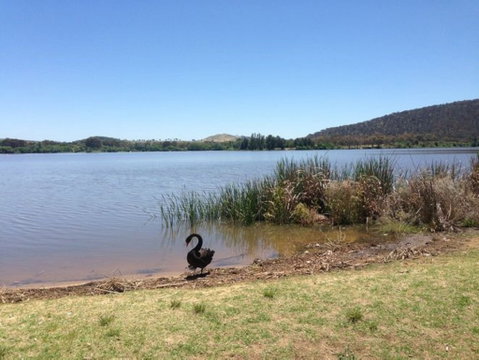 Yarralumla Bay - Attractions Perth 0