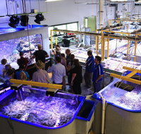 Australian Institute of Marine Science - Attractions Perth