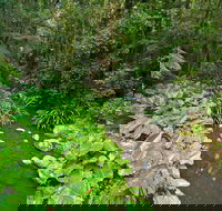 Brindle Creek Picnic Area - Attractions Perth