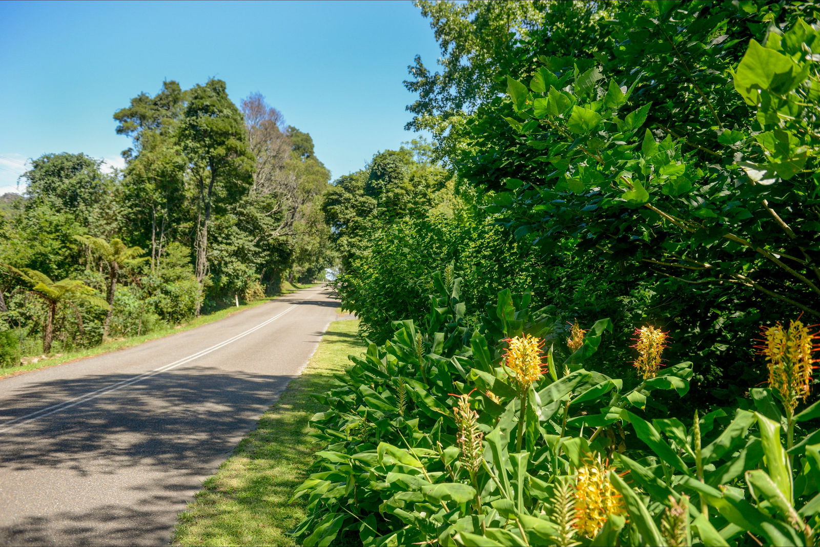 Broughton Vale NSW Attractions Perth