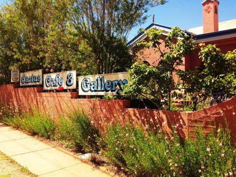 Cactus Cafe And Gallery - Attractions Perth 0