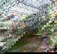 Cairns ZOOM and Wildlife Dome - Attractions Perth
