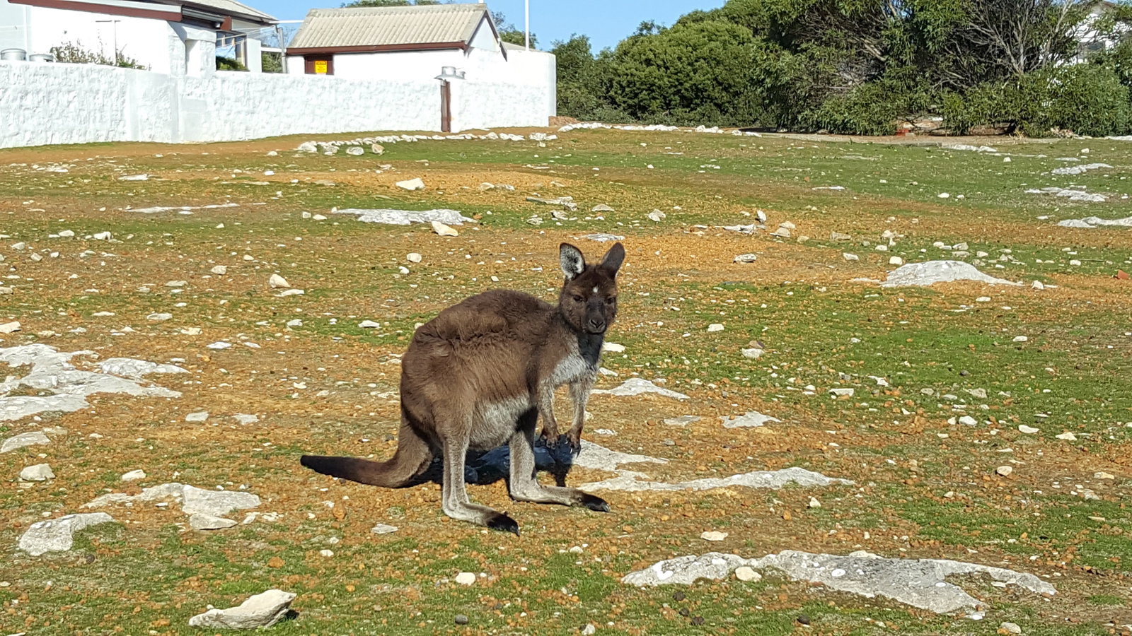 Destrees Bay SA Attractions Perth