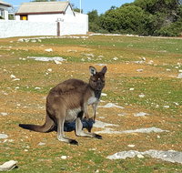 Cape Borda Lightstation - Flinders Chase National Park - Attractions Perth