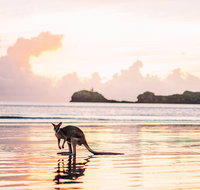 Cape Hillsborough  A Low Tide Fishing Adventure - Attractions Perth