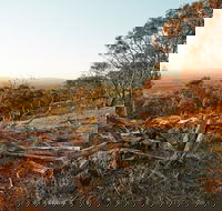 Chick Hill Walk - Attractions Perth