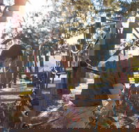 Cotter Avenue recreation area - Attractions Perth