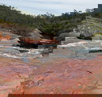 FR Berry Reserve - Attractions Perth