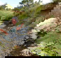 Gold Panning Deep Creek - Attractions Perth