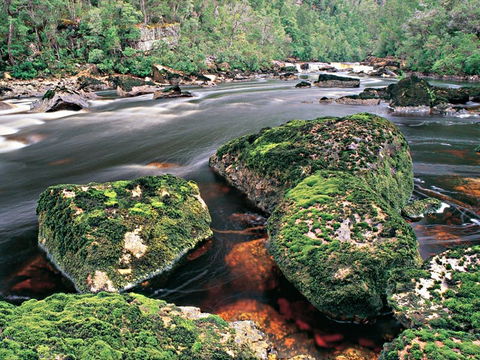 Gordon River - The - Attractions Perth 2