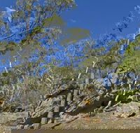 Green track - Attractions Perth