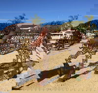 Gundersen Reserve - Attractions Perth