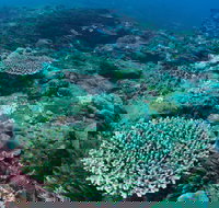 Hanging Rock Dive Site - Attractions Perth