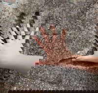 Hands of Fame Park - Attractions Perth