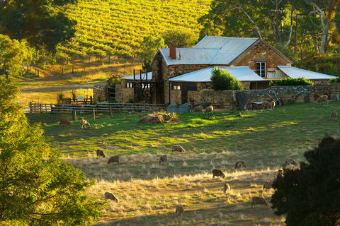 Hutton Vale Farm - Attractions Perth 1