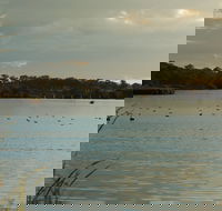 Lake Inverell Reserve - Attractions Perth