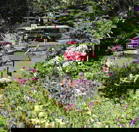 Launceston Gorge Scenic Chairlift - Attractions Perth