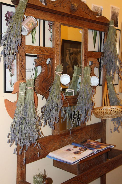 Lavender House In Railway Park - Attractions Perth 1