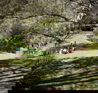 Leura Cascades picnic area - Attractions Perth