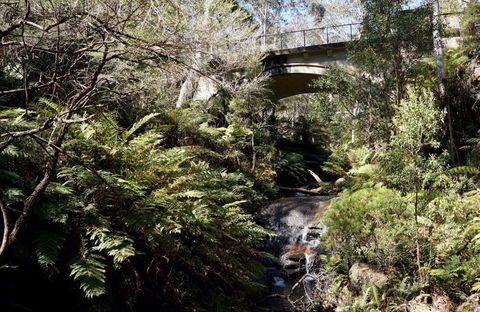 Leura Cascades Picnic Area - Attractions Perth 1