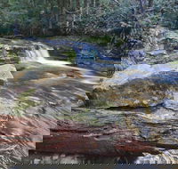 Liffey Falls Reserve - Attractions Perth