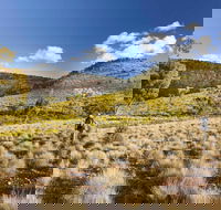 Little Mountain Walking Track - Attractions Perth