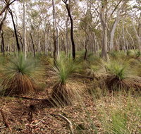 Livingstone National Park - Attractions Perth