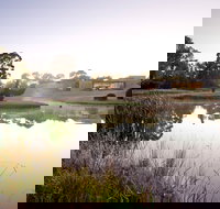 McClelland Sculpture Park  Gallery