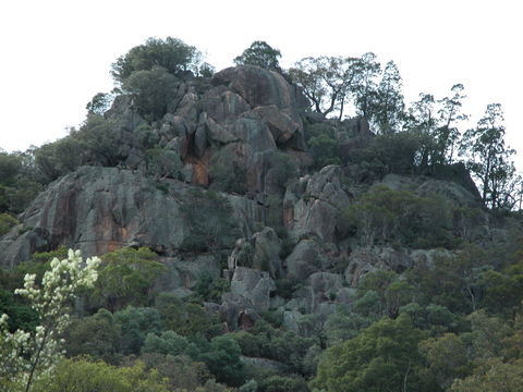Mount Yarrowyck Nature Reserve - Attractions Perth 0