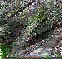 Mulwaree River Walkway - Attractions Perth