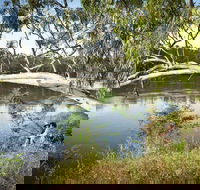 Murray Valley National Park - Attractions Perth