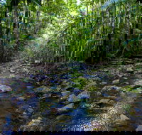 Nambucca Valley - Attractions Perth