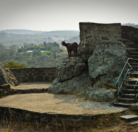 Nanny Goat Hill Lookout - Attractions Perth