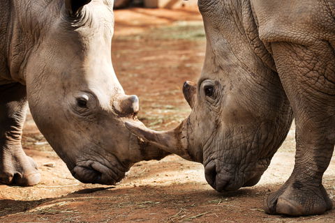 National Zoo & Aquarium - Attractions Perth 0