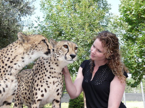 National Zoo & Aquarium - Attractions Perth 1