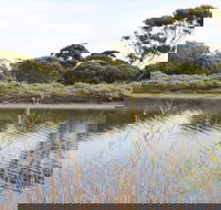 Onkaparinga River Recreation Park - Attractions Perth