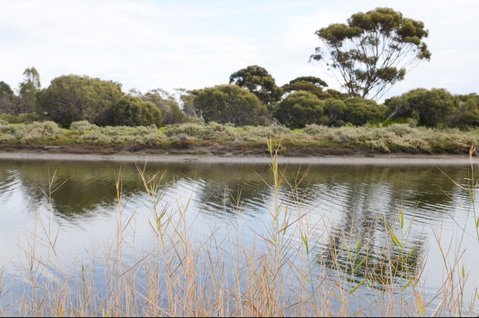 Onkaparinga River Recreation Park - Attractions Perth 0