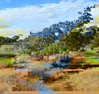 Owen  Hamley Bridge - Attractions Perth