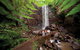 Queen Mary Falls Circuit, Main Range National Park - thumb 0