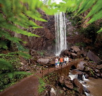 Queen Mary Falls circuit Main Range National Park - Attractions Perth