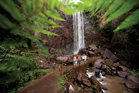 Queen Mary Falls Circuit, Main Range National Park - Attractions Perth 0