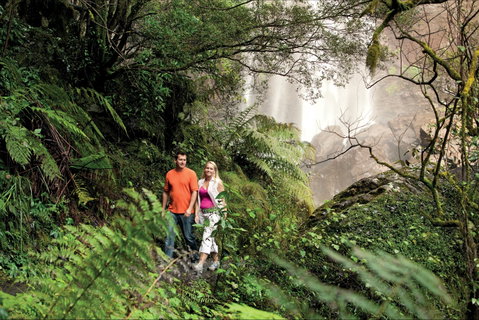 Queen Mary Falls Circuit, Main Range National Park - Attractions Perth 2
