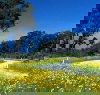 Shearer's Way - Attractions Perth