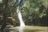The Grotto