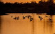 Thomson River, Longreach - thumb 2