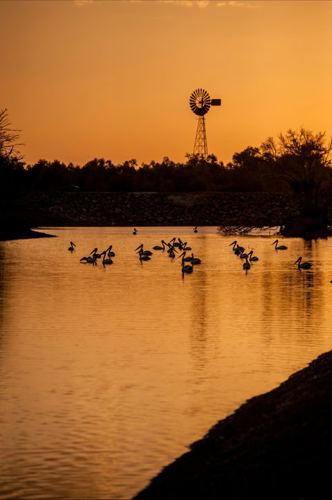 Thomson River, Longreach - Attractions Perth 2