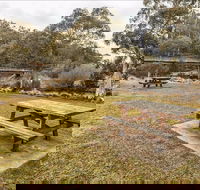 Thredbo River picnic area - Attractions Perth