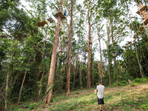 TreeTop Challenge - Sunshine Coast - Attractions Perth 1