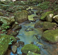 Whian Whian State Conservation Area - Attractions Perth