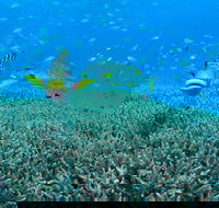 Wreck Bay Dive Site - Attractions Perth